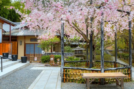 Téléchargez les photos : Temple Adashino Nenbutsuji à Kyoto, Japon - en image libre de droit