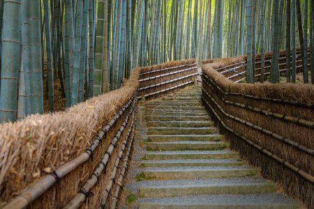 Un bosque de bambú en el templo Adashino Nenbutsuji en Kyoto, Japón