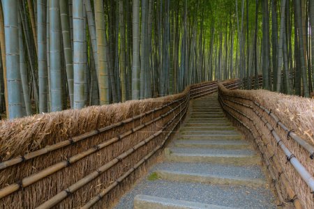 Foto de Un bosque de bambú en el templo Adashino Nenbutsuji en Kyoto, Japón - Imagen libre de derechos