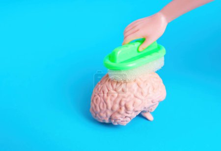 Toy hand washing a miniature human brain figurine with a sponge. Creative brainwashing concept.