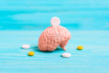 Photo for Anatomical model of a human brain and pills on a blue wooden background. Memory and brain health supporting supplements concept. - Royalty Free Image