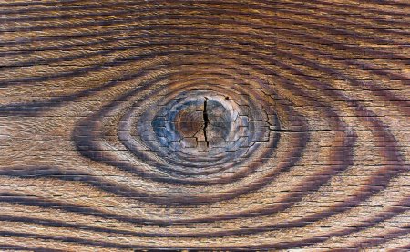 Foto de Glimpse into Nature's Beauty: Organic beauty of a textured wooden background, which appears to resemble a human eye. Reminder of the intricate patterns and designs found in nature. - Imagen libre de derechos