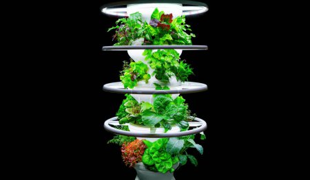 Foto de Elegante soporte de varios niveles diseñado para el cultivo de ensaladas frescas y verduras en casa, hecho de plástico blanco de alta calidad y equipado con un sistema de iluminación. - Imagen libre de derechos