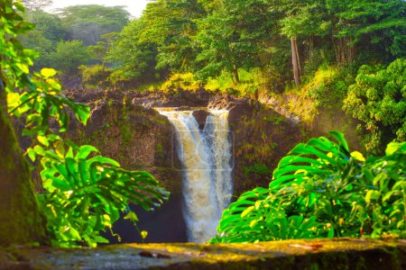Close-up view of the Wailuku River State Park's waterfall framed by lush greenery, Hilo, Hawaii.
