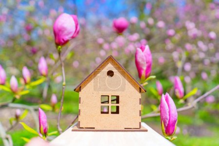 Téléchargez les photos : Petit modèle de maison en bois placé parmi les magnolias roses en fleurs. Concept lié au jardinage printanier. - en image libre de droit
