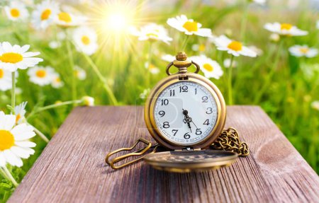 Sonnenbeleuchtete offene Vintage Taschenuhr auf einem rustikalen Holztisch vor dem Hintergrund eines blühenden Gänseblümchenfeldes. Hintergrund zu Zeitmanagement und Produktivität.