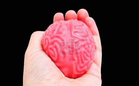 Téléchargez les photos : Vue rapprochée d'un modèle de cerveau humain en forme de gelée de jouet tenu en main sur fond noir. Comprendre le concept de l'esprit humain. - en image libre de droit