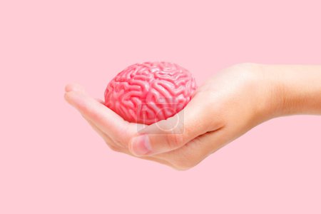 Téléchargez les photos : Vue rapprochée d'un modèle de cerveau humain jouet tenu en main sur une toile de fond rose vif. Concept lié au cerveau et à la santé mentale. - en image libre de droit