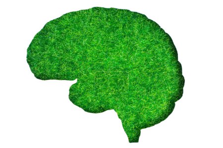 Foto de Libro blanco recorte de la forma del cerebro establecido en un telón de fondo de hierba verde vibrante. Concepto creativo relacionado con iniciativas sostenibles, concienciación sobre el cambio climático y un futuro más verde. - Imagen libre de derechos