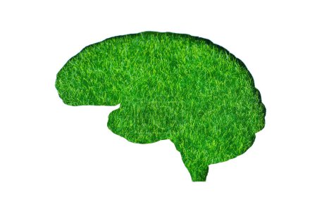 Foto de Recorte de papel blanco en forma de cerebro contra un telón de fondo de hierba verde vibrante. Concepto de alerta ambiental. - Imagen libre de derechos