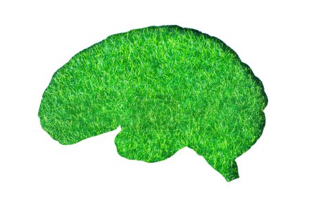 Foto de La hierba verde vibrante forma la forma intrincada de un cerebro humano, destacándose sobre un fondo blanco limpio. Concepto de vida sostenible y conciencia ambiental. - Imagen libre de derechos