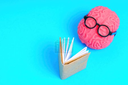 Téléchargez les photos : Cerveau humain dans des lunettes nerdy lit un livre isolé sur fond bleu avec de l'espace de copie. Concept lié à l'éducation et à l'apprentissage. - en image libre de droit