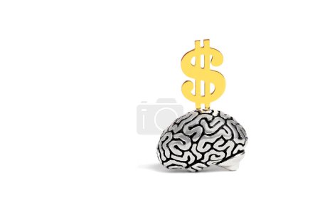 Close-up view of a silver plated human brain model with a golden dollar sign on top isolated on white background. Profound thinking and financial fortune concept.