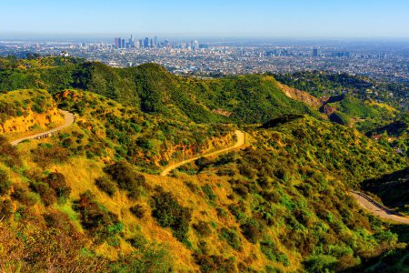 Téléchargez les photos : Beauté tranquille des collines émeraudes de Griffith Park, traversant ses sentiers sinueux tout en admirant la majestueuse toile de fond de l'horizon de Los Angeles. - en image libre de droit
