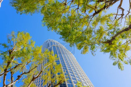 Eine Perspektive, die vom üppigen Laub der Bäume umrahmt wird und ein hoch aufragendes Bürogebäude mit gläserner Fassade in der Innenstadt von Los Angeles zeigt.