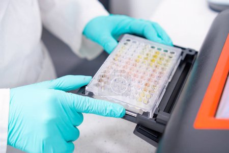 Foto de Los científicos realizan el análisis de múltiples muestras con fines microbiológicos colocando una microplaca en un lector de microplacas. - Imagen libre de derechos