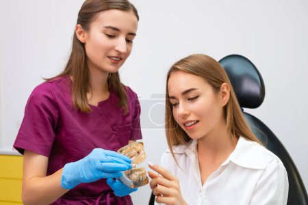 Photo for Orthodontist explains the procedure of alignment of teeth to the patient using a jaw layout in modern dentistry clinic - Royalty Free Image