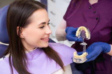 Dentist explains the procedure of alignment of teeth to the patient using a jaw layout in modern dentistry clinic