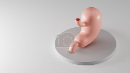 Photo for Isometric 3d illustration of stylized human stomach on gray pedestal. Inspired by flat design trends - Royalty Free Image