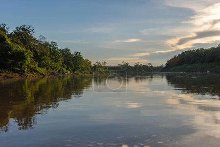 Foto de Una selva malaya reflejada en el río Kinabatangan, Borneo, Sabah, Malasia - Imagen libre de derechos