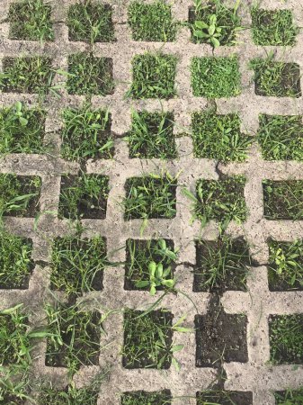 Plattengrundstück - Gras. Betonfertigteile mit Löchern für Gras
