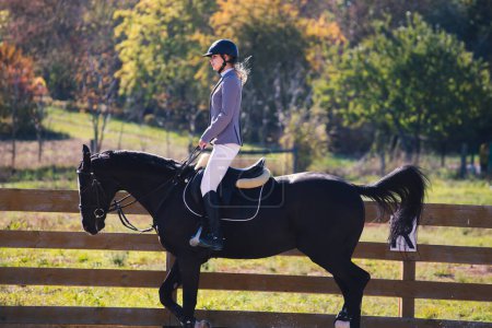 Téléchargez les photos : Beauté fille est engagée dans l'équitation - en image libre de droit