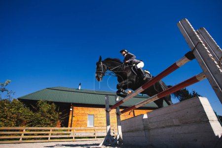Foto de Belleza chica se dedica a montar a caballo - Imagen libre de derechos