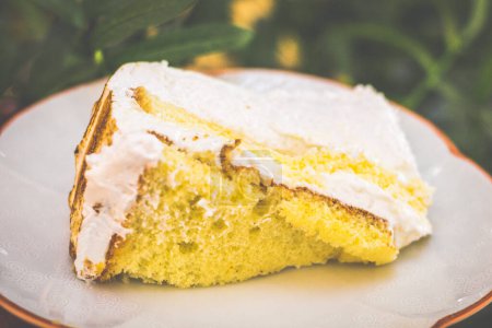 Photo for A slice of Meringue Cake with Vanilla cream, vanilla cake and meringue - Royalty Free Image