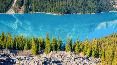 Foto de Parque Nacional Banff, Alberta, Canadá. Un gran panorama del lago Peyto. Paisaje durante el día. Un lago en un valle del río. Montañas y bosque. Paisaje natural. - Imagen libre de derechos