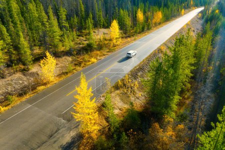 Téléchargez les photos : Une vue de drone d'une route au milieu d'une forêt. Une voiture sur la route. Une route droite entre les arbres. Forêt d'automne. Une route droite. Heure d'automne. - en image libre de droit
