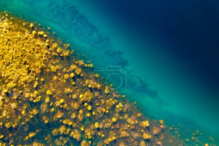 Téléchargez les photos : A drone view of the river . An aerial view of an autumn field. Pond among the meadows. Turquoise mountain water. Landscape with soft light before sunset. - en image libre de droit
