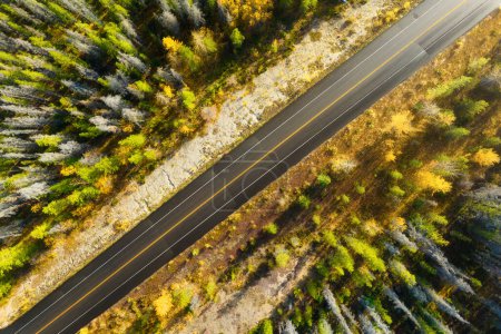 Foto de Una vista de dron de una carretera en medio de un bosque. Un camino recto entre los árboles. Bosque de otoño. Una carretera recta. Tiempo de otoño. - Imagen libre de derechos