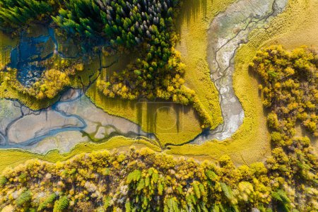 Téléchargez les photos : Une vue de drone de la rivière dans les bois. Vue aérienne d'une forêt d'automne. Rivière sinueuse parmi les arbres. Eau de montagne. Paysage avec lumière douce avant le coucher du soleil. - en image libre de droit