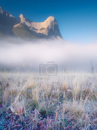 Photo for Foggy landscape in the morning. Mountain peak. Sunbeams in a valley. Field in a mountain valley at dawn. Sunlight in the forest. Natural landscape. - Royalty Free Image