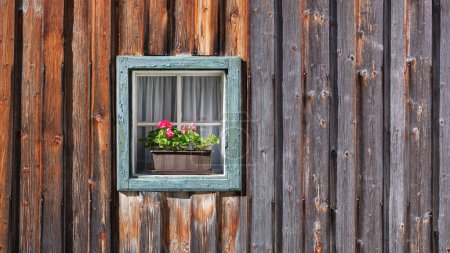Téléchargez les photos : Fenêtre dans le mur et des fleurs en pot. Design intérieur et extérieur vintage d'une maison. Murs en bois faits de planches. - en image libre de droit