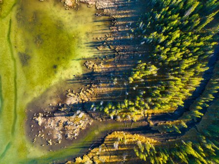 Téléchargez les photos : Une vue de drone de la rivière dans les bois. Vue aérienne d'une forêt d'automne. Rivière sinueuse parmi les arbres. Eau de montagne turquoise. Paysage avec lumière douce avant le coucher du soleil. Alberta, Canada. - en image libre de droit
