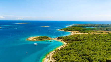 Photo for View from the air on the sea and coast. Sea relaxation and travel. The forest near the sea. Azure water on the sea. A bright sunny day during a summer vacation. - Royalty Free Image