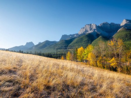 Photo for Mountain landscape in the morning. Sunbeams in a valley. Field and forest in a mountain valley. Natural landscape with bright sunshine. High rocky mountains. Banff National Park, Alberta, Canada. - Royalty Free Image
