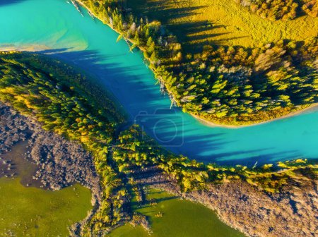Téléchargez les photos : Paysage d'automne. Une vue de drone de la rivière dans les bois. Vue aérienne d'une forêt d'automne. Rivière sinueuse parmi les arbres. Eau de montagne turquoise. Paysage avec lumière douce avant le coucher du soleil. - en image libre de droit