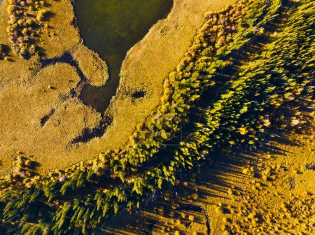 Téléchargez les photos : Paysage d'automne. Une vue de drone de la rivière dans les bois. Vue aérienne d'une forêt d'automne. Rivière sinueuse parmi les arbres. Paysage avec lumière douce avant le coucher du soleil. Contexte et papier peint. - en image libre de droit