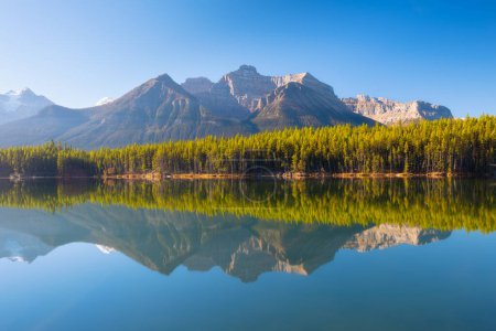 Foto de Herbert Lake, Banff National Park, Alberta, Canadá. Paisaje de montaña al amanecer. Lago y bosque en un valle montañoso al amanecer. Paisaje natural con sol brillante. Reflexiones sobre la superficie del lago. - Imagen libre de derechos