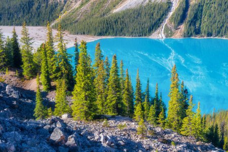 Foto de Lago Peyto, Parque Nacional Banff, Alberta, Canadá. Paisaje durante el día. Un lago en un valle montañoso. Montañas y bosque. Paisaje natural. - Imagen libre de derechos