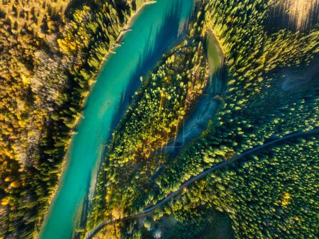 Téléchargez les photos : Une vue de drone de la rivière dans la forêt. Vue aérienne d'une forêt. Rivière sinueuse parmi les arbres. Paysage aérien. Paysage avec lumière douce avant le coucher du soleil. - en image libre de droit