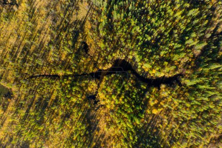 Téléchargez les photos : Une vue de drone de la rivière dans la forêt. Vue aérienne d'une forêt. Rivière parmi les arbres. Paysage aérien. Paysage avec lumière douce avant le coucher du soleil. - en image libre de droit