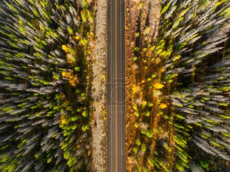 Téléchargez les photos : Une vue de drone d'une route au milieu d'une forêt. Une route droite entre les arbres. Bois d'un drone. Une route droite. Fond d'écran et fond. - en image libre de droit