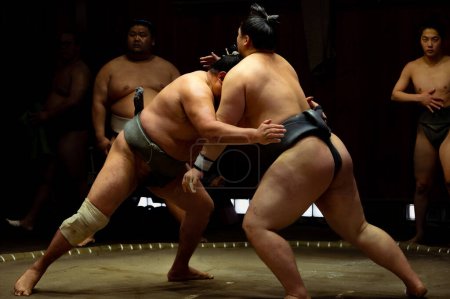 Foto de Sombras de fuerza: Luchadores de sumo se enfrentan en entrenamiento de baja tecla - Imagen libre de derechos