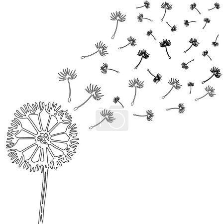 Illustration for Silhouette of a black dandelion on a white background. Black dandelion seeds flutter in the wind. - Royalty Free Image