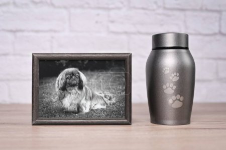 Foto de Urna decorativa, junto a una fotografía del perro sobre la mesa. Imagen horizontal. - Imagen libre de derechos