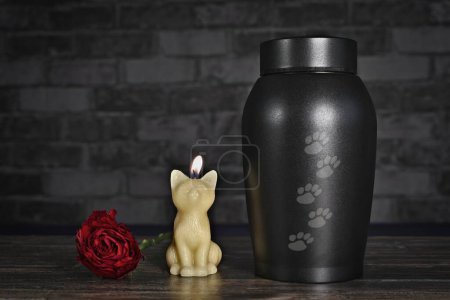 In remembrance of a cat. Decorative Pet urn, next to a candle and rose flower.