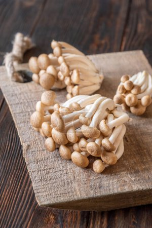 Bunch of Brown beech mushrooms on cutting board